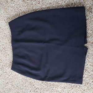 Ann Taylor Pencil Skirt